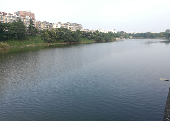 南京護城河西河藍藻治理示范工程