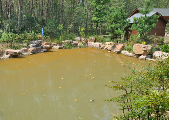 合肥濱湖濕地森林公園水污染應急治理實驗項目